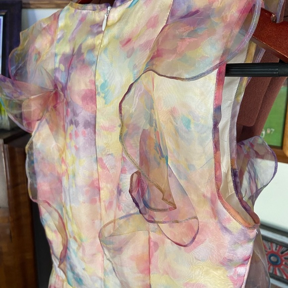 Amazing Rare Lagi Nadeau Ruffle Dress - Picture 13 of 15